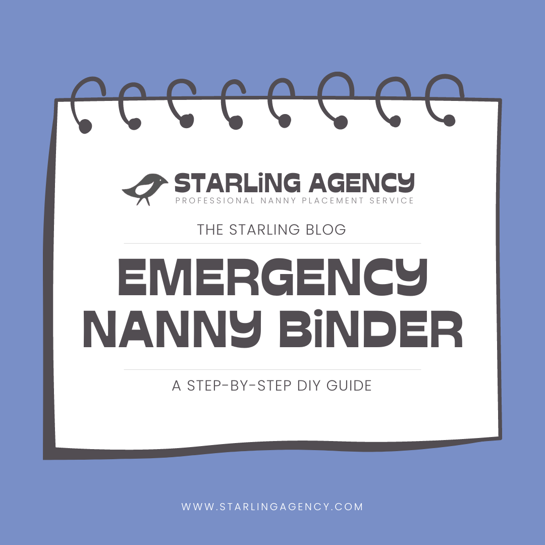DIY Emergency Nanny Binder