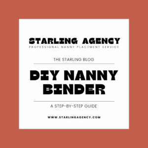 DIY Nanny Binder